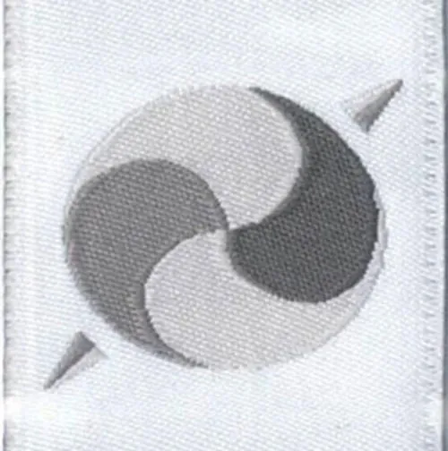 Ribbon of the Order of the Companions of OR Tambo (illustrative image of the honor).